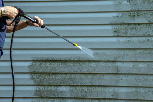 Best Gutter Cleaning  in Nolensville, TN